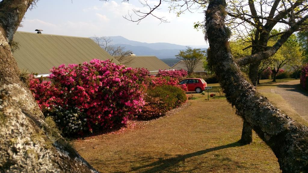 Kloofsig Holiday Cottages Граскоп Екстериор снимка